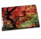 Mono Vinyl 80 PWB/PGB/RWB