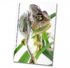 Wondertack weiß/Ghost